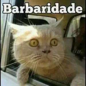 uAII8q