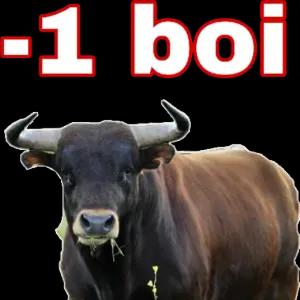 Quz2x7