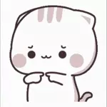 Bạn có thích mèo không?