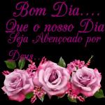 bom dia lindo dia