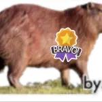 capivara