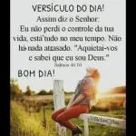 versículos 
