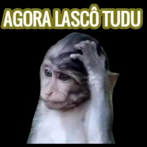 S7lbcp