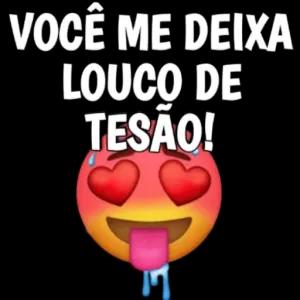 VOCÊ ME DEIXA LOUCO DE TESÃO! - getsticker.com