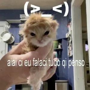 ovNPve