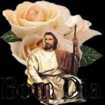 Que a Luz Divina nos ilumine Bom Dia