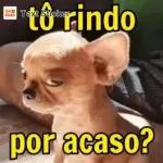 Segunda! Mais uma semana debaixo da proteção de Deus. Bom dia!