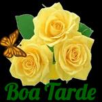 Boa tarde