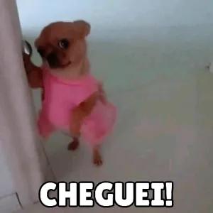 JCqQlH
