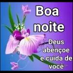 BOA NOITE JESUS!  CUBRA ME COM SEU MANTO DE AMOR!