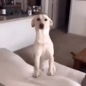 FwtdLX