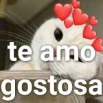 te amo gostosa