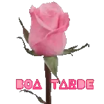 BOA TARDE 