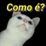Aiiihh que fofinhoo