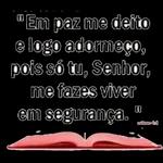 versículos 