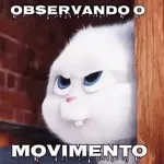 Boa Noite! Flores Que Me Encantam