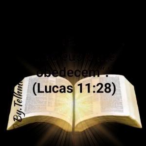 A DEUS É QUE OBEDECEM - getsticker.com