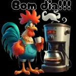 BOM DIA!!!