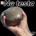 CADÊ VOCÊ?