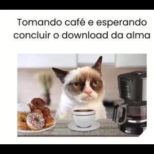 qRTglg