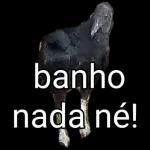  Como tá o
movimento aí?