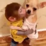 só animais 😂