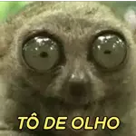 Bạn có thích mèo không?