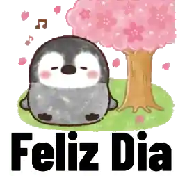 pacotes