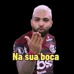 gabigol