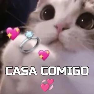 U1XNLz