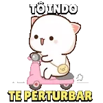 novo 2