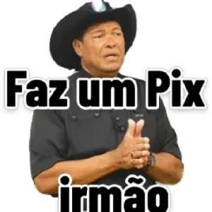 Faz um Pix irmão - getsticker.com