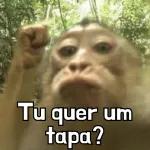 Macaco🐒🥭