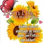 Adorei!