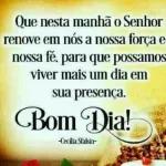 Bom Dia @gotinhasdefeofc Comece o dia desejando algo bom para alguém... Eu escolhi você Desejo que sejas feliz.
