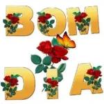 BOM DIA