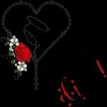 te amo