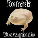 🐸Sapo Feliz Dia 🐸