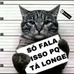 MEU SONHO