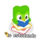 Duolingo 