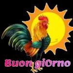 Buongiorno