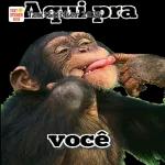Gostei!
