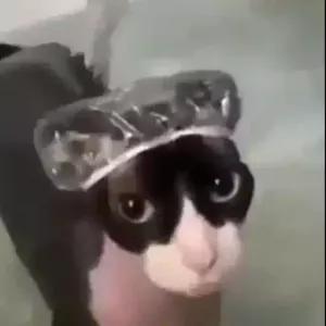 vGMnEk