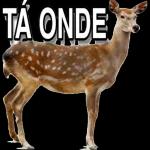 Um lindo dia Bom dia
