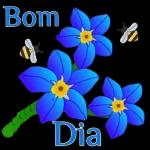 Bom
dia