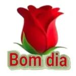 BOM DIA