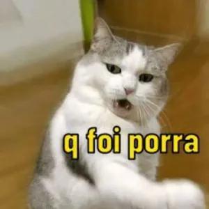q foi porra - getsticker.com