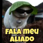 Pacote de Grêmio e memes