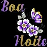 boa noite