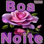 sexto dia de desafio concluído com sucesso 